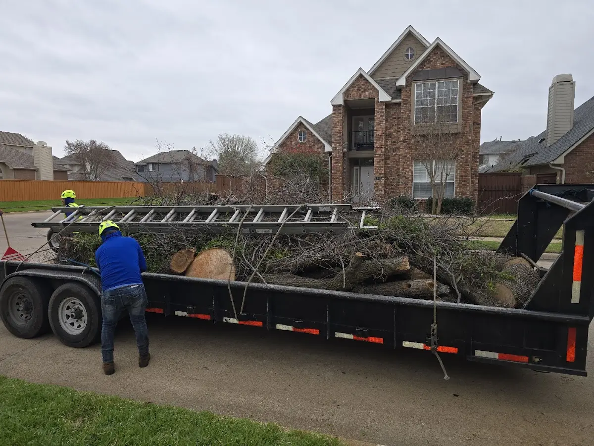 Expert Lot Clearing with proper safety equipment in Devol